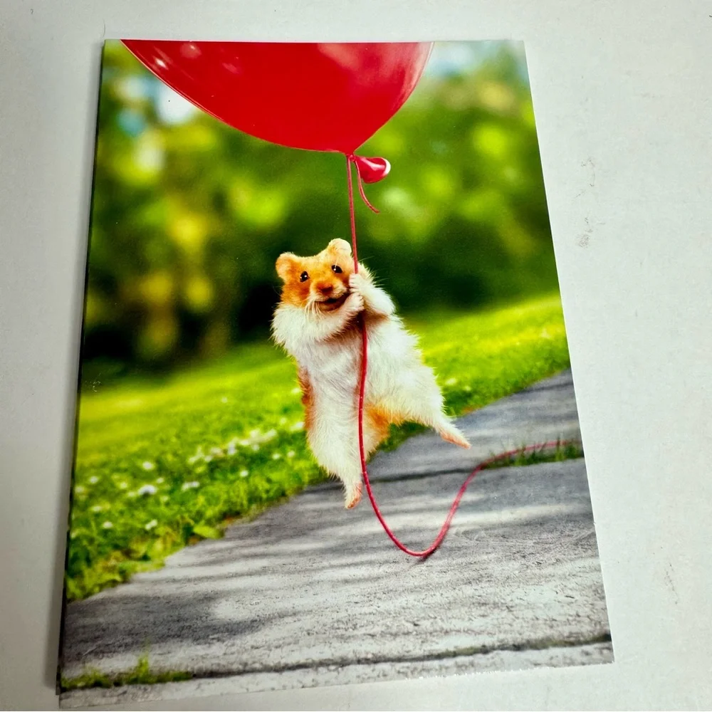 6 Avanti Greeting cards- hamster gerbil red balloon Holiday: Valentines Day